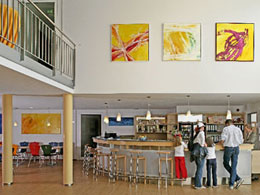 Bild_8_Linde