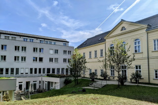 Bild Kardinal König