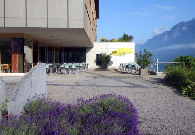 NEUSCH Bild 08