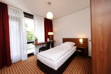 st_bernhard_3
